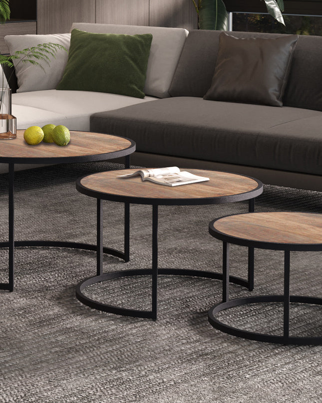 Salontafel 'Lennox' 3-delig Mango hout